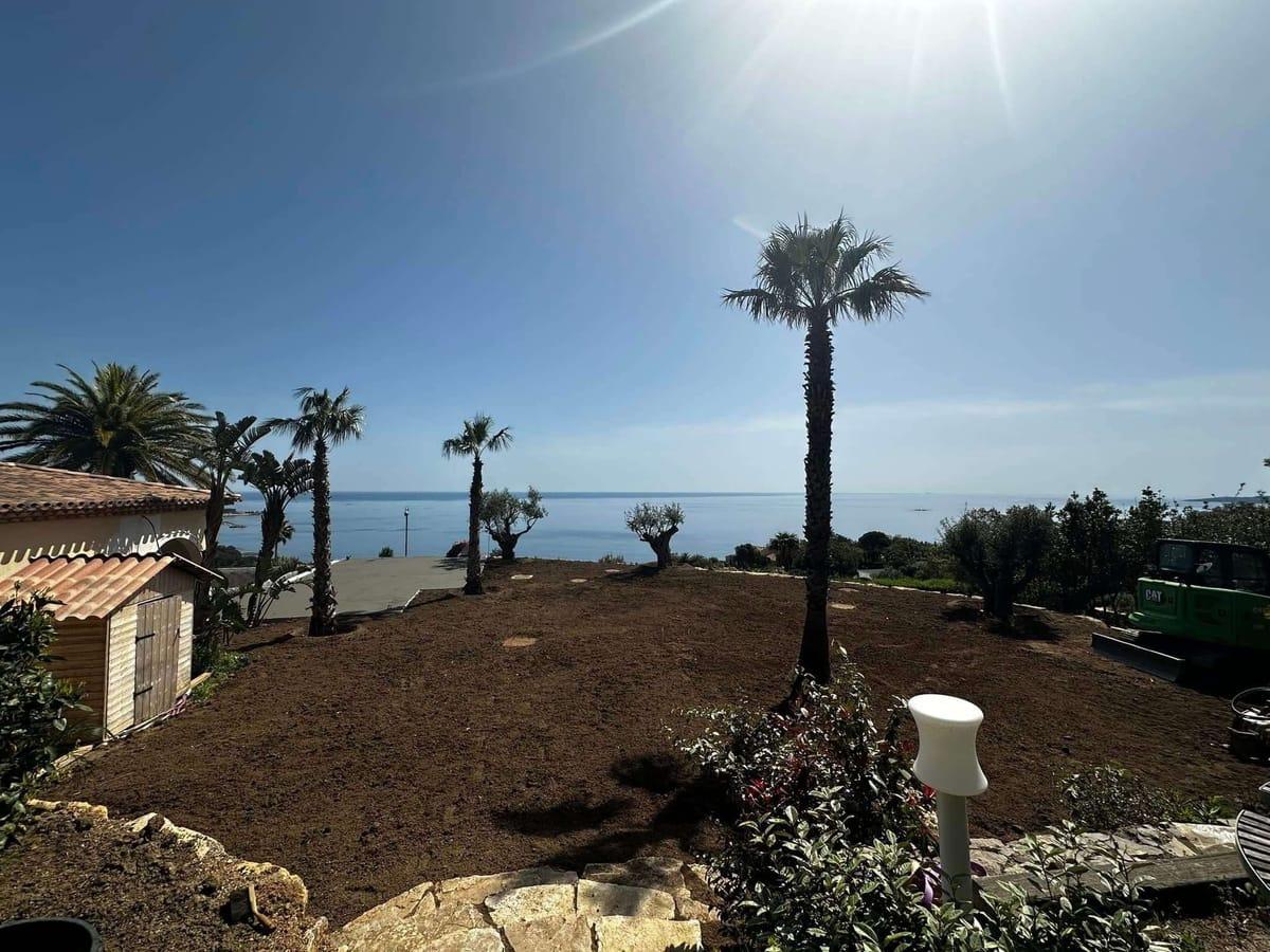 Aménagement terrain vue mer avec palmiers et mini-pelle CAT côte varoise